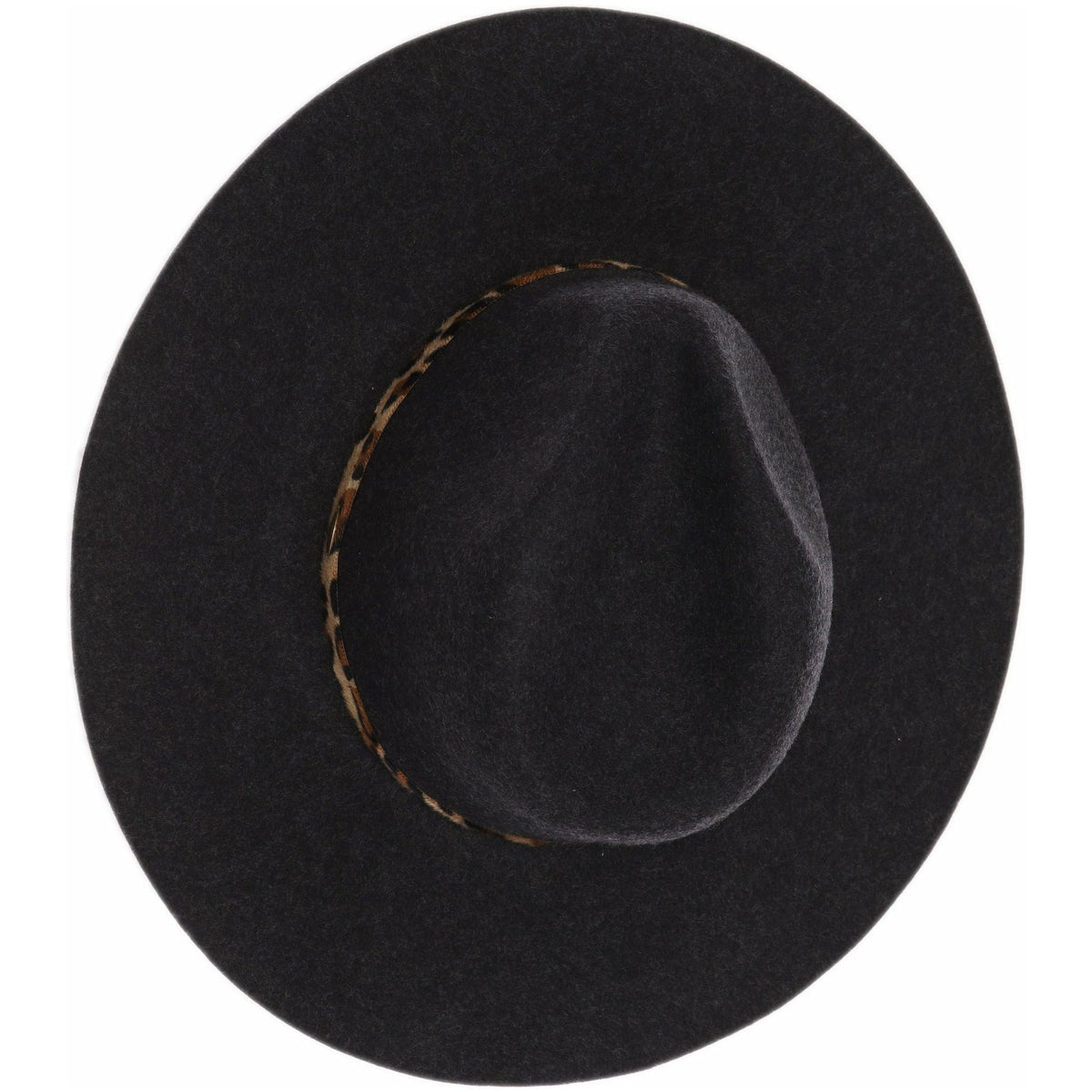 Leopard Trim Wool Felt Brim Hat W073