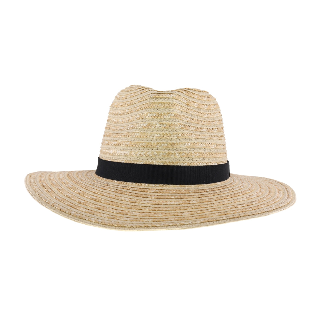 Ribbon Band C.C Panama Hat STH04