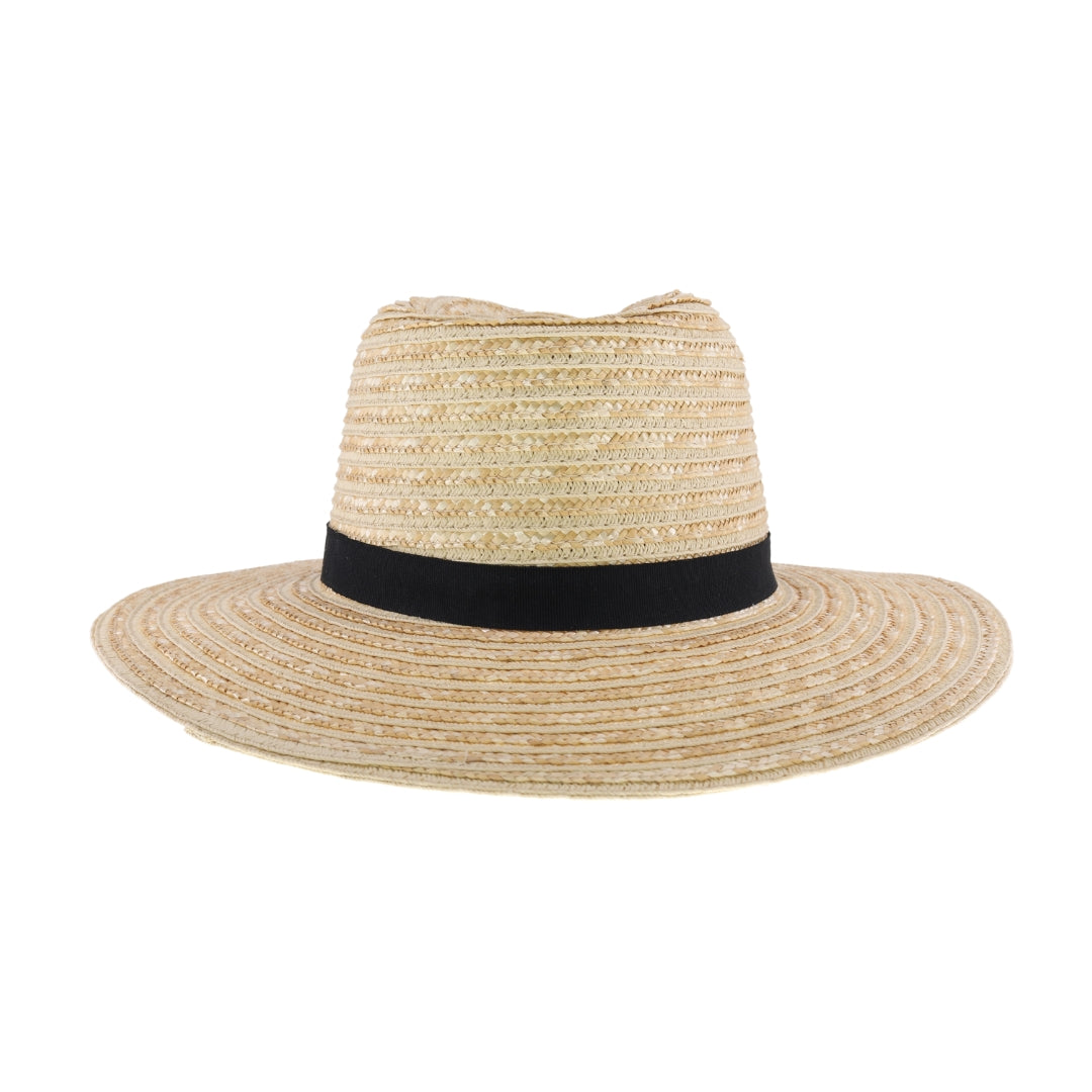 Ribbon Band C.C Panama Hat STH04